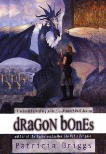 [Hurog 01] - Dragon Bones Read online
