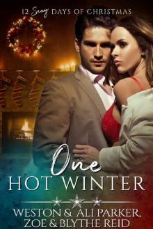 One Hot Winter: A Sexy Bad Boy Holiday Novel (The Parker's 12 Days of Christmas Book 9) Read online