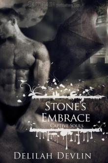 Stone's Embrace: A Captive Souls Story. Read online