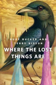 Where the Lost Things Are Read online