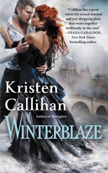 Winterblaze Read online