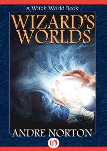 Wizard's Worlds: A Short Story Collection (Witch World) Read online