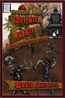 Zee Bee & Bee Read online
