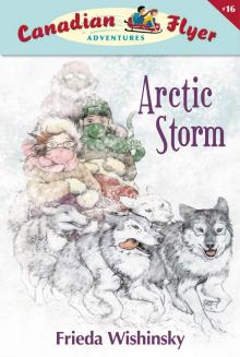 Arctic Storm Read online