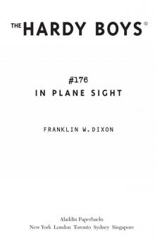 In Plane Sight Read online