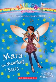 Mara the Meerkat Fairy Read online