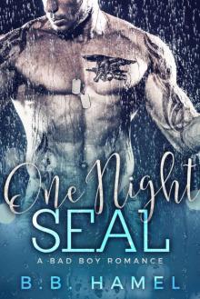 One Night SEAL: A Bad Boy Romance Read online