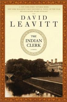 The Indian Clerk Read online