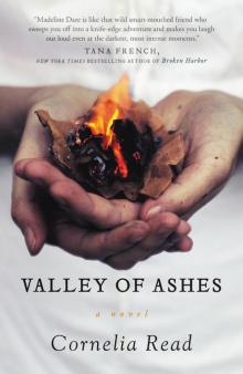 Valley of Ashes Read online