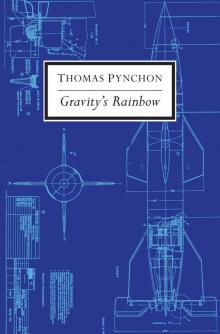 Gravity's Rainbow Read online
