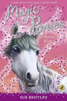 Magic Ponies: A Special Wish Read online