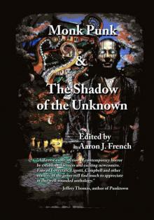 Monk Punk and Shadow of the Unknown Omnibus Read online