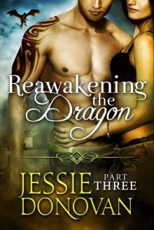 Reawakening the Dragon: Part Three (Stonefire Dragons Book 16) Read online