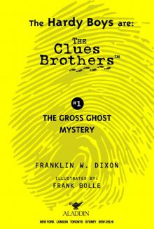 The Gross Ghost Mystery Read online