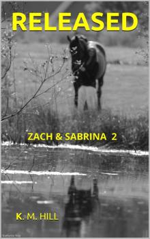 Zach and Sabrina: Round 2 Read online