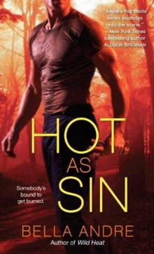 Hot as Sin: A Novel Read online