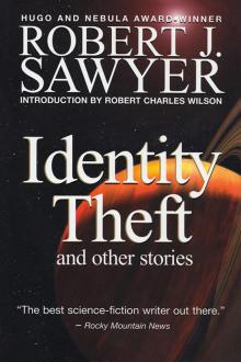 Identity Theft and Other Stories Read online