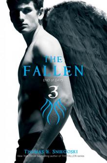 The Fallen 3 Read online