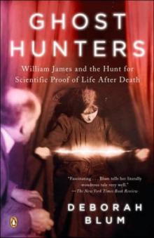 The Ghost Hunters Read online