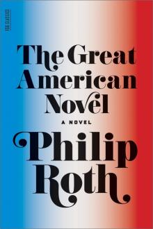 The Great American Novel Read online