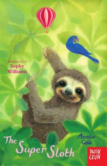 The Super Sloth Read online