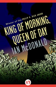 King of Morning, Queen of Day Read online