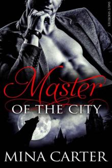 Master of the City Read online