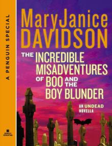 The Incredible Misadventures of Boo and the Boy Blunder Read online