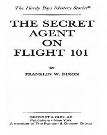 The Secret Agent on Flight 101 Read online