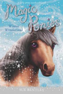 Winter Wonderland #5 Read online