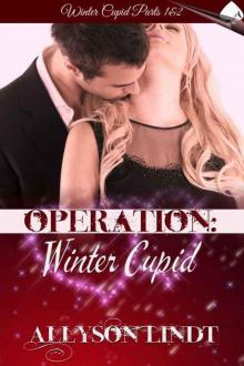 Operation: Winter Cupid Read online