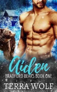 Aiden: A Fake Marriage Shifter Romance (Bradford Bears Book 1) Read online