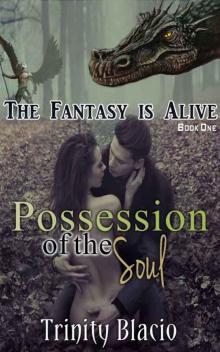 Possession of the Soul Read online