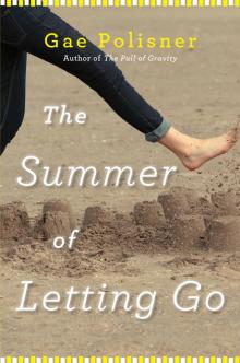 The Summer of Letting Go Read online
