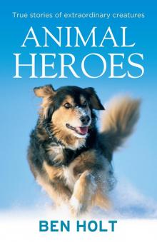 Animal Heroes Read online