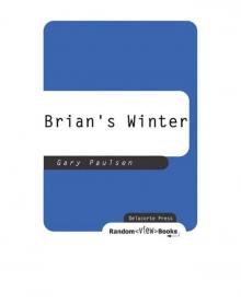 Brian's Winter Read online
