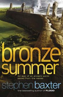 Bronze Summer Read online