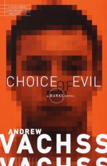 Choice of Evil b-11 Read online