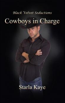 Cowboys in Charge Read online