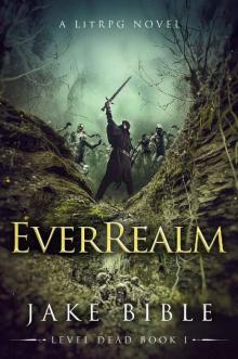 EverRealm: A LitRPG Novel (Level Dead Book 1) Read online
