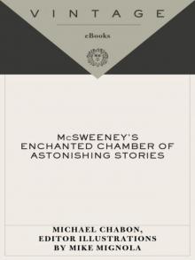 McSweeney's Enchanted Chamber of Astonishing Stories Read online