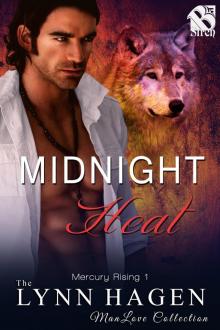 Midnight Heat Read online