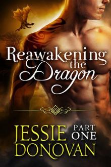 Reawakening the Dragon: Part One Read online