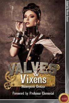 Valves & Vixens Read online
