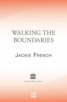 Walking the Boundaries Read online
