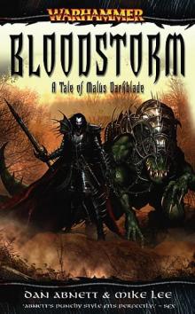 [Darkblade 02] - Bloodstorm Read online