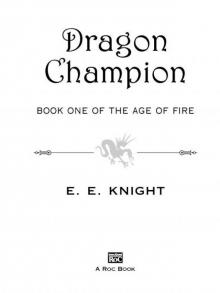 Dragon Champion Read online