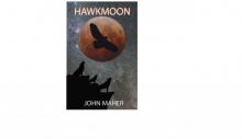 Hawkmoon (The Hawkmoon Chronicles) Read online