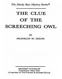 The Clue of the Screeching Owl Read online