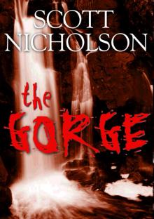 The Gorge: The Screenplay Read online